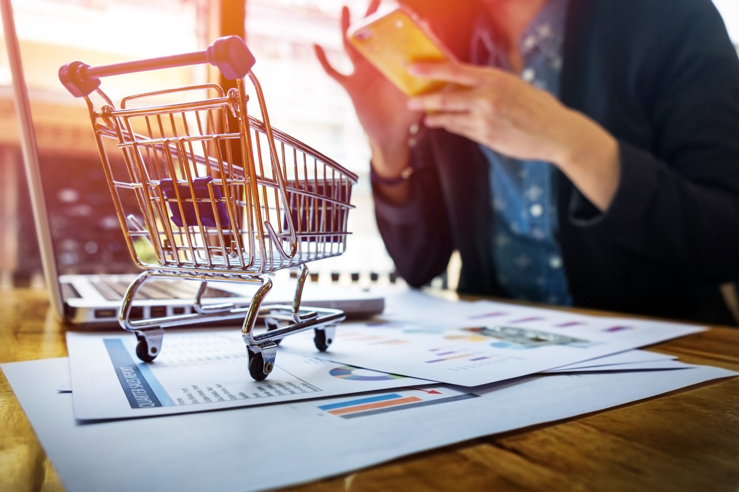 Comercialización del transporte y la logística.